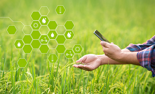 Scanning product in supermarket